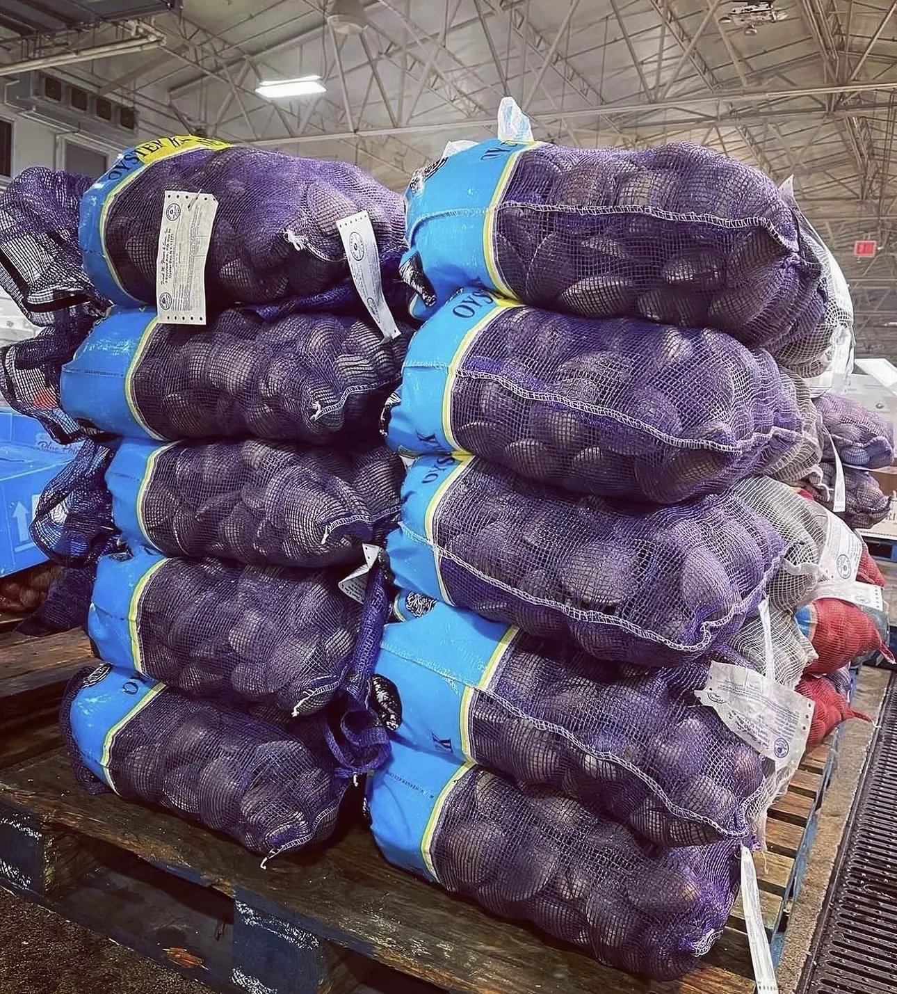 Bags of fresh clams