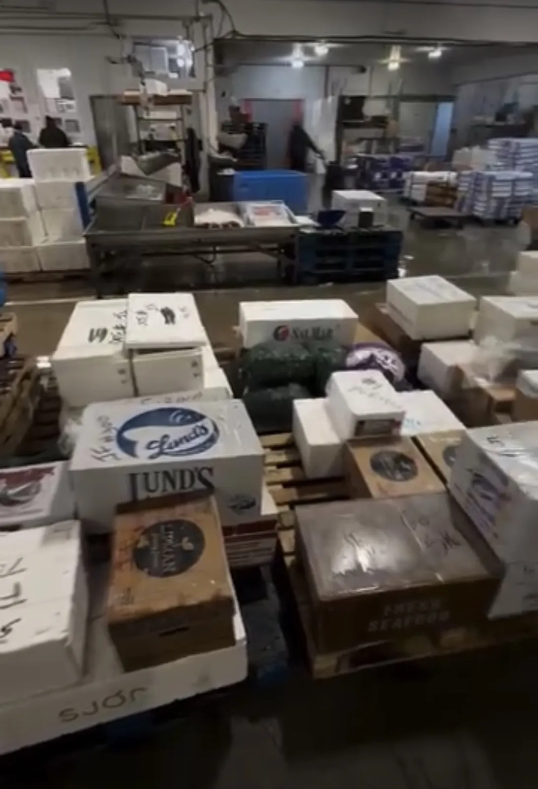 Wholesale seafood market inventory