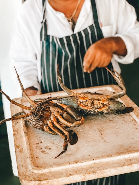 Benefits of Fresh Seafood in Restaurants