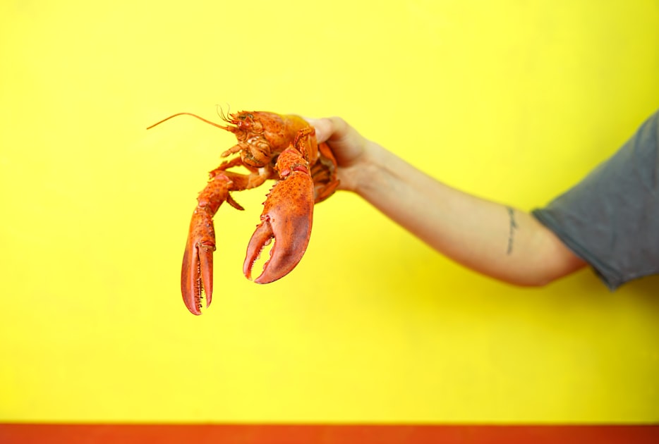 Seafood Menu Ideas for Restaurants